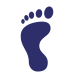 Foot Icon